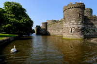 Caernarfon Castle