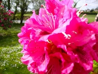 Spring in Snowdonia