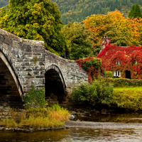 pont y pair bridge - llanrwst