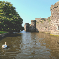 beaumaris castle - anglesey