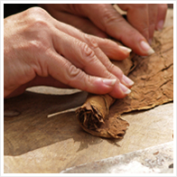 Hand Rolling A Cigar