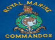 royal marines embroidered badge